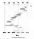 Fig. 06 - METHOD, SYSTEM, AND DEVICES FOR INFORMING A TERMINAL ABOUT FAILURE IN RESOURCE RESERVATION