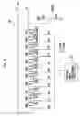 Fig. 09 - Ear thermometer and measuring apparatus used with it