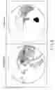 Fig. 07 - Image processing apparatus and X-ray diagnostic apparatus