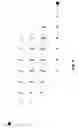 Fig. 10 - Method for temporally editing videos