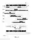 Fig. 04 - CREATING A NEW VIDEO PRODUCTION BY INTERCUTTING BETWEEN MULTIPLE VIDEO CLIPS