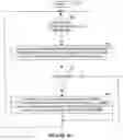 Fig. 06 - Registration of device characteristics with optical layer for use in establishing connections through an optical network