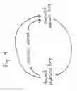 Fig. 04 - Hybrid hydraulic-electric engine