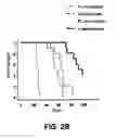 Fig. 04 - TARGETED CARGO PROTEIN COMBINATION THERAPY