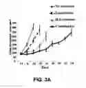 Fig. 05 - TARGETED CARGO PROTEIN COMBINATION THERAPY