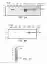 Fig. 02 - Unmarked recombinant intracellular pathogen immunogenic compositions expressing high levels of recombinant proteins