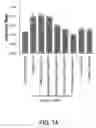 Fig. 09 - Tweak receptor