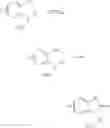 Fig. 13 - 1-[[2-amino-3-(substituted alkyl)-3H-benzimidazolyl[methyl]-3-substituted-1,3-dihydro-benzoimidazol-2-ones and structural analogs