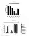 Fig. 12 - Anti-CD3 antibodies and methods of use thereof