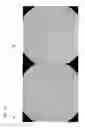 Fig. 45 - SAFE LENTIVIRAL VECTORS FOR TARGETED DELIVERY OF MULTIPLE THERAPEUTIC MOLECULES
