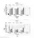 Fig. 03 - Bifidobacterium longum