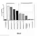 Fig. 09 - Bifidobacterium longum