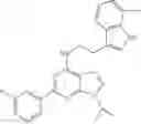 Fig. 158 - Method for expanding hematopoietic stem cells