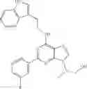 Fig. 22 - Method for expanding hematopoietic stem cells