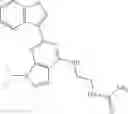 Fig. 77 - Method for expanding hematopoietic stem cells