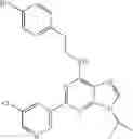 Fig. 99 - Method for expanding hematopoietic stem cells