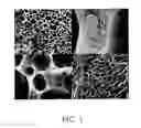 Fig. 02 - POROUS COMPOSITE MATERIAL, PREPARATION PROCESS THEREOF AND USE TO REALIZE TISSUE ENGINEERING DEVICES
