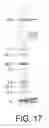 Fig. 53 - HEPATOCYTE GROWTH FACTOR RECEPTOR SPLICE VARIANTS AND METHODS OF USING SAME