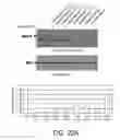 Fig. 64 - HEPATOCYTE GROWTH FACTOR RECEPTOR SPLICE VARIANTS AND METHODS OF USING SAME