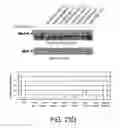 Fig. 67 - HEPATOCYTE GROWTH FACTOR RECEPTOR SPLICE VARIANTS AND METHODS OF USING SAME