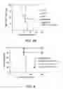 Fig. 06 - Compositions and methods for producing adaptive regulatory T cells