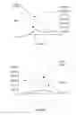 Fig. 06 - Enzyme replacement therapy for treating lysosomal storage diseases