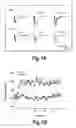 Fig. 02 - MEMORY ENHANCING PROTEIN