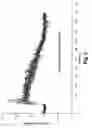 Fig. 06 - MEMORY ENHANCING PROTEIN