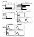 Fig. 02 - Modulation of NKG2D