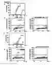 Fig. 04 - Modulation of NKG2D