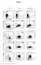 Fig. 02 - Induction of Tolerogenic Phenotype in Mature Dendritic Cells
