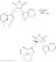 Fig. 23 - Compositions and methods for the treatment of cancer
