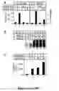 Fig. 45 - Chimeric DRG11-responsive (DRAGON) polypetides