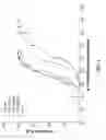 Fig. 09 - Antibodies against interleukin-1 β