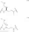 Fig. 28 - Multimeric CD40 ligands, method for preparing same and use thereof for preparing drugs