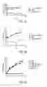 Fig. 06 - Tumour-associated peptides that bind to MHC molecules
