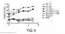 Fig. 08 - Tumour-associated peptides that bind to MHC molecules