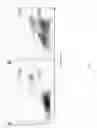 Fig. 02 - Cell lines, compositions comprising them for the treatment of melanomas, procedures to prepare the compositions, and treatment methods