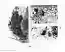 Fig. 08 - Cell lines, compositions comprising them for the treatment of melanomas, procedures to prepare the compositions, and treatment methods