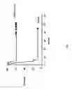 Fig. 09 - Cell lines, compositions comprising them for the treatment of melanomas, procedures to prepare the compositions, and treatment methods