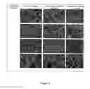 Fig. 06 - COMPOSITIONS AND METHODS TO CROSS LINK POLYMER FIBERS