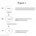Fig. 02 - TREATMENT OF CELL SUSPENSION