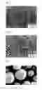 Fig. 02 - Magnesium oxide particle aggregate and method for producing the same