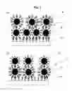 Fig. 02 - Fluorescent fine particle films