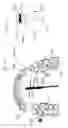 Fig. 10 - APPARATUS AND METHODS FOR CORRECTION OF ORTHODONTIC MALOCCLUSIONS
