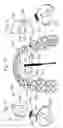 Fig. 11 - APPARATUS AND METHODS FOR CORRECTION OF ORTHODONTIC MALOCCLUSIONS