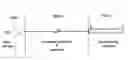 Fig. 01 - Hybridization Probe Assay and Array