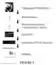 Fig. 02 - METHODS AND COMPOSITIONS FOR IDENTIFYING BIOMARKERS USEFUL IN CHARACTERIZING BIOLOGICAL STATES
