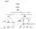 Fig. 02 - Stem-Progenitor Cell Specific Micro-Ribonucleic Acids and Uses Thereof