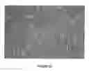 Fig. 40 - METHODS TO ACCELERATE THE ISOLATION OF NOVEL CELL STRAINS FROM PLURIPOTENT STEM CELLS AND CELLS OBTAINED THEREBY